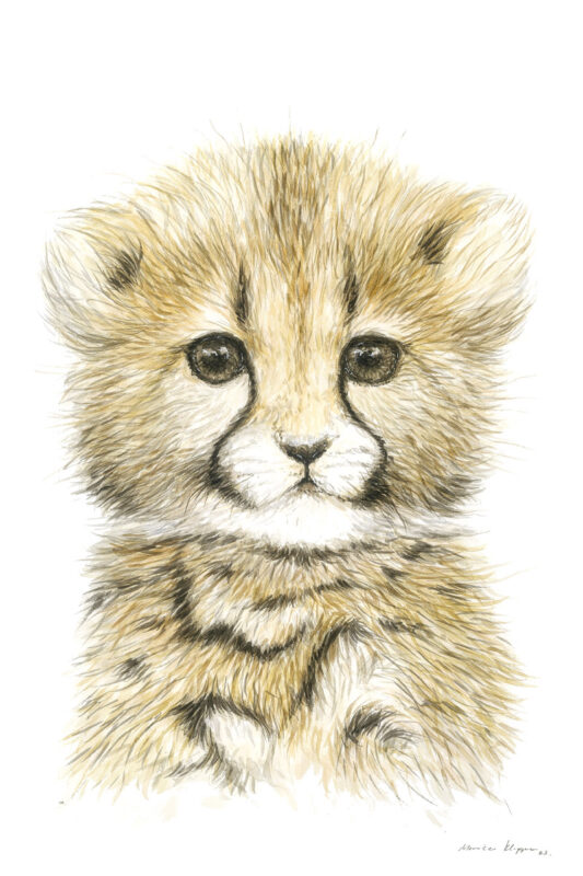 “Baby Cheetah” Print