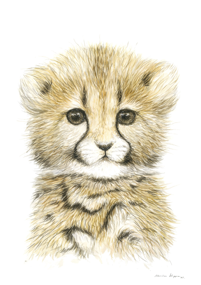 "Baby Cheetah" Print