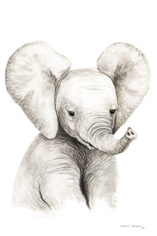 “Baby Elephant” Print