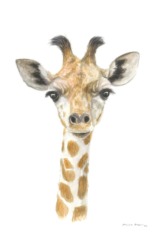 “Baby Giraffe” Print