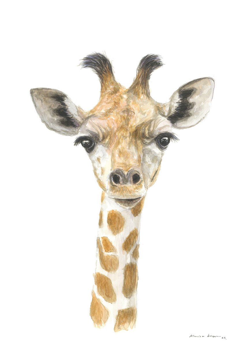 "Baby Giraffe" Print
