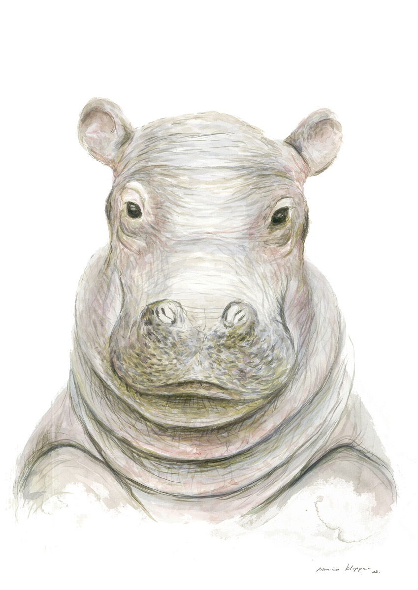"Baby Hippo" Print