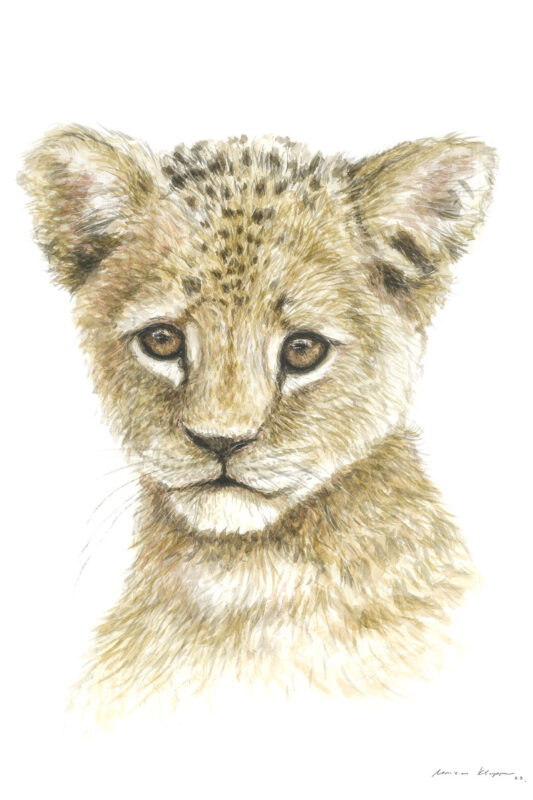 “Baby Lion” Print