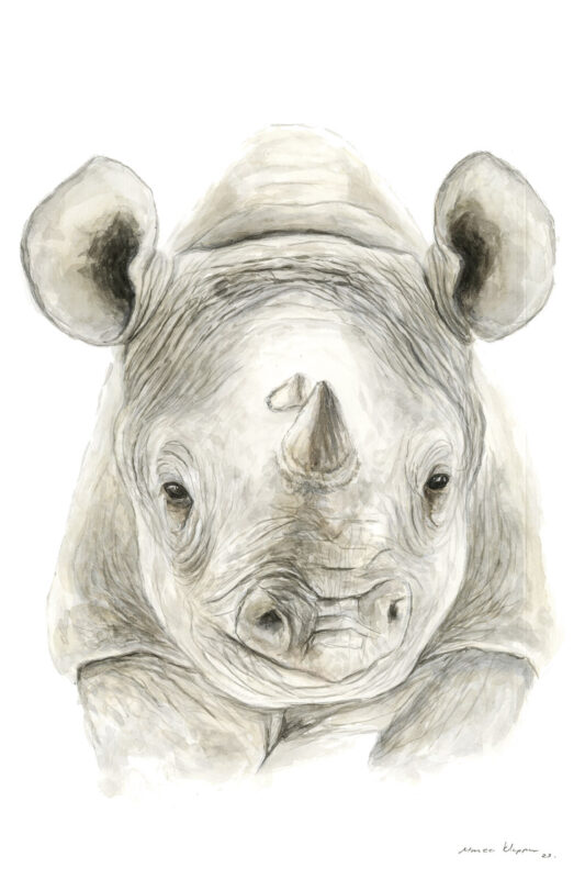 “Baby Rhino” Print