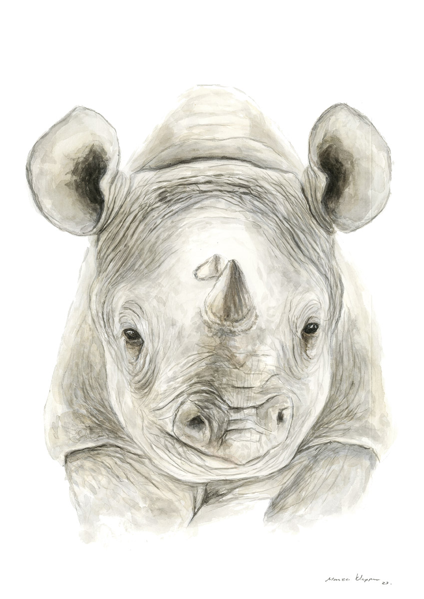 "Baby Rhino" Print