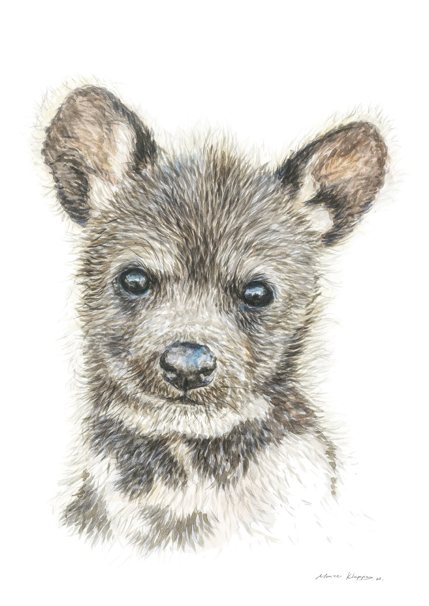 "Baby Wild Dog" Print