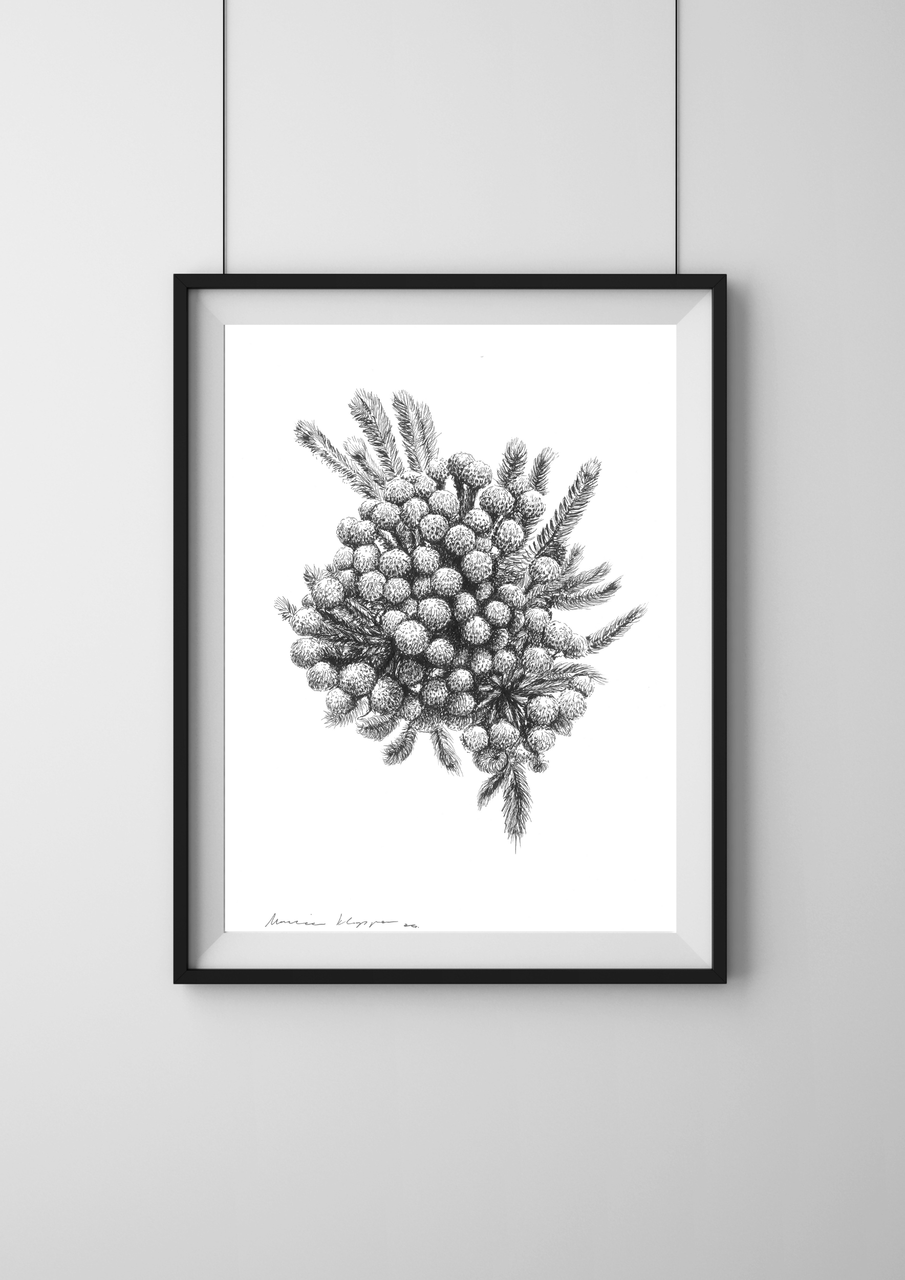 "Coffee-scented Berzelia" Print - Image 2