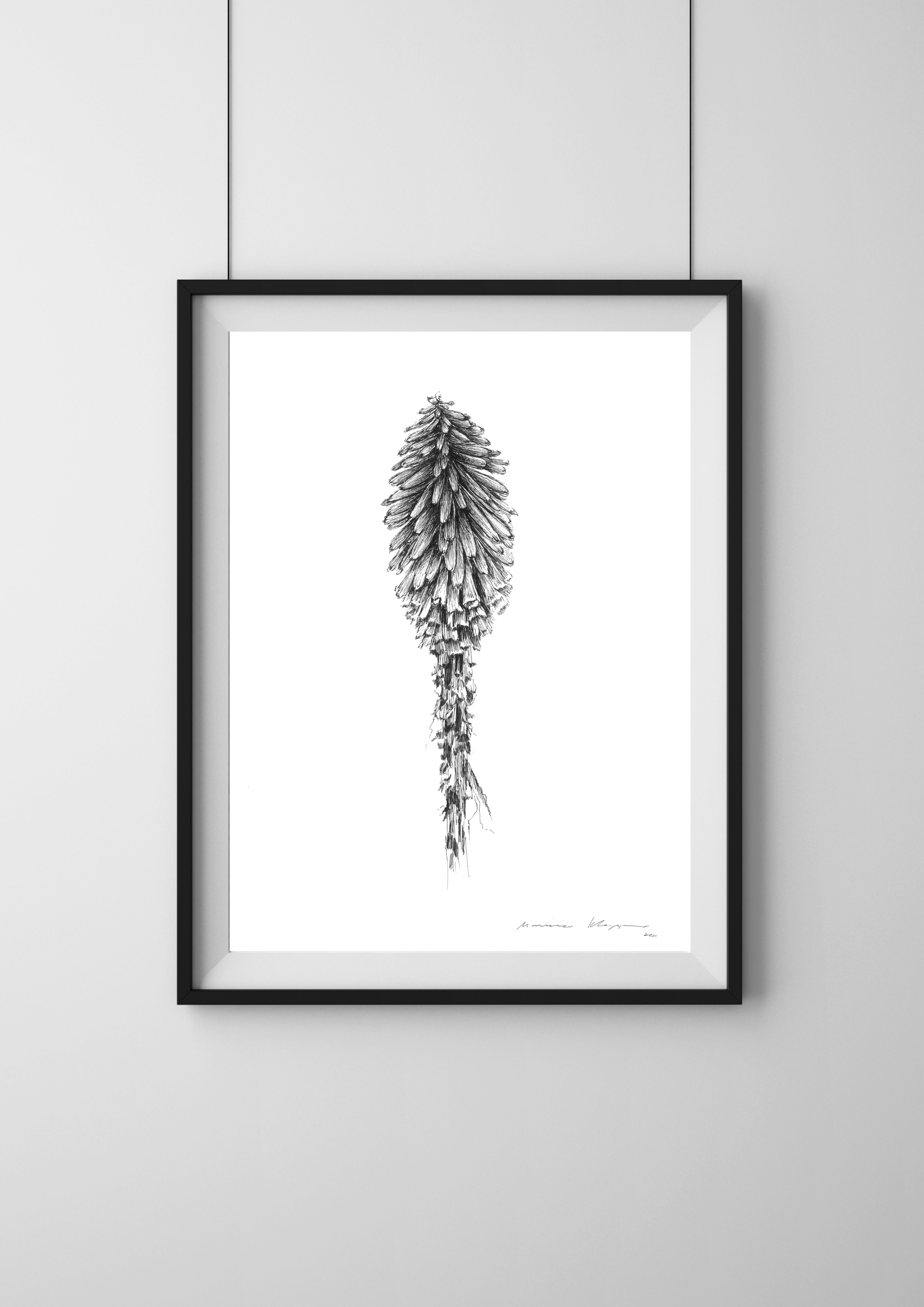 "Red Hot Poker (Kniphofia)" Print - Image 2