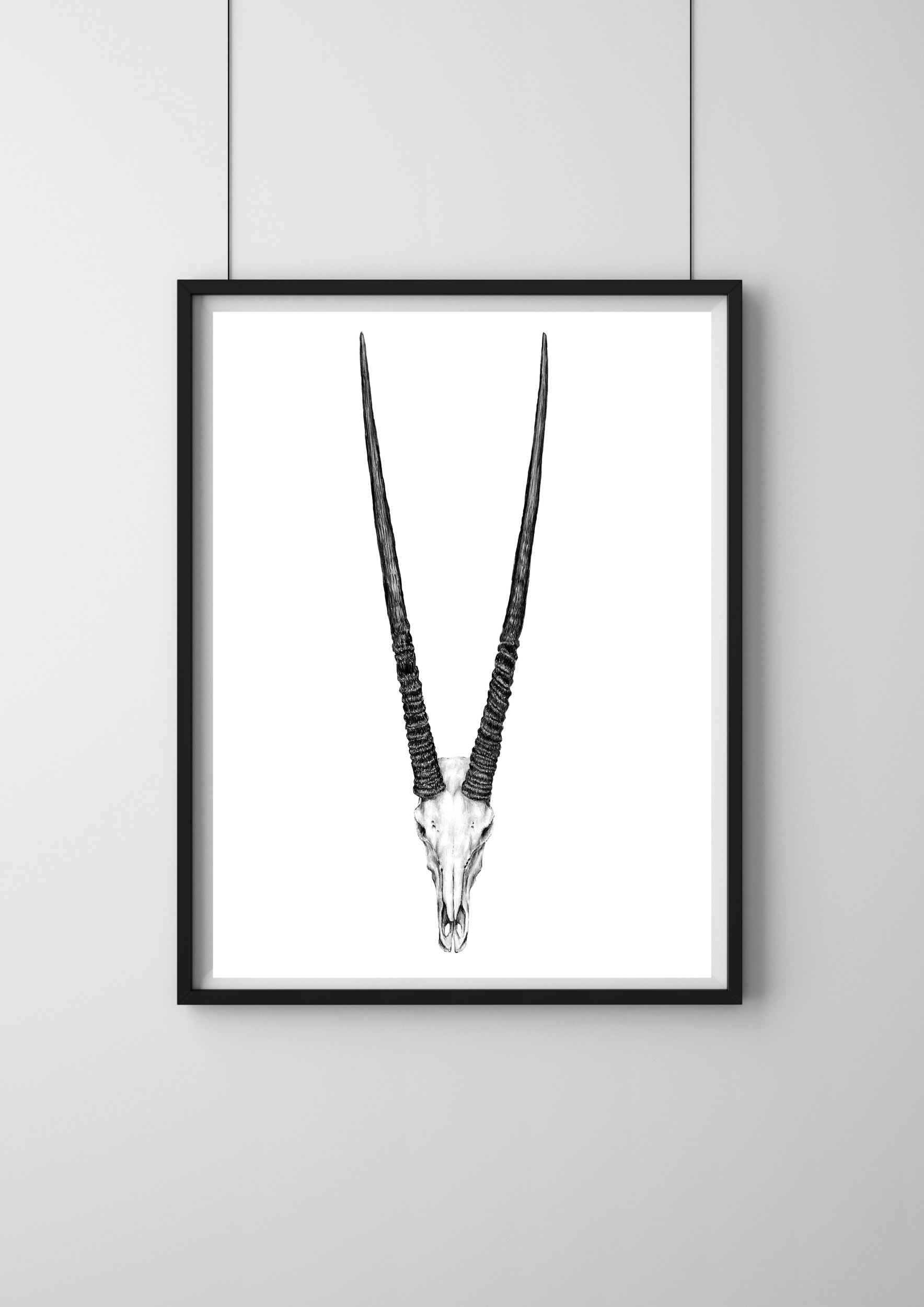 "Gemsbok Skull" Print A3 - Image 2