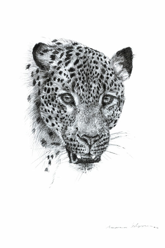 “Leopard Eyes” Print A4