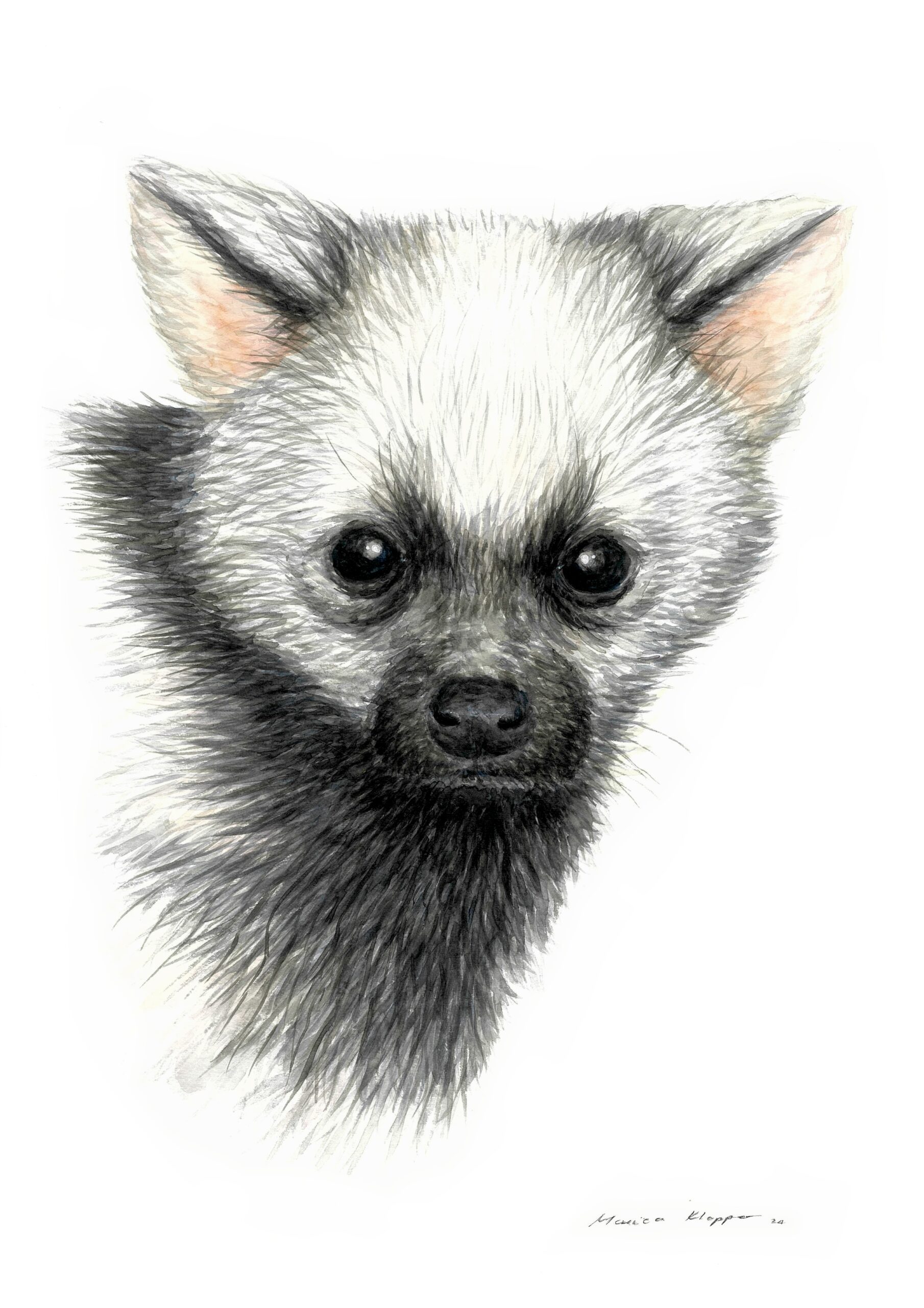 "Baby Aardwolf" Print