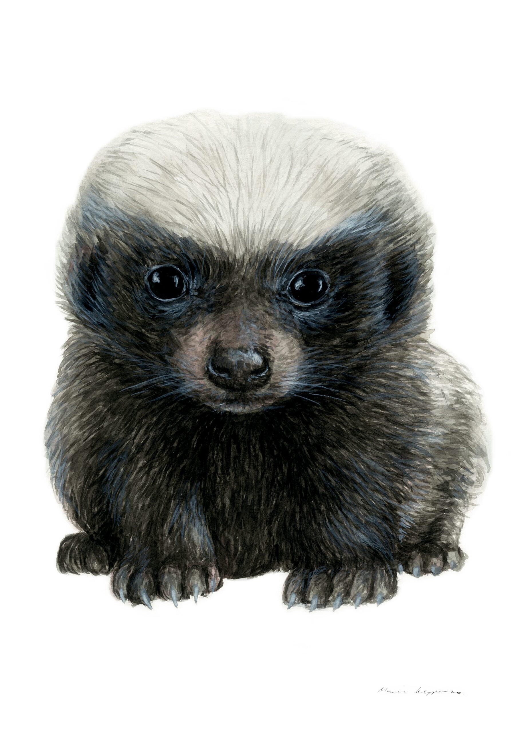 "Baby Honey Badger" Print