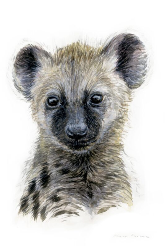 “Baby Hyena” Print