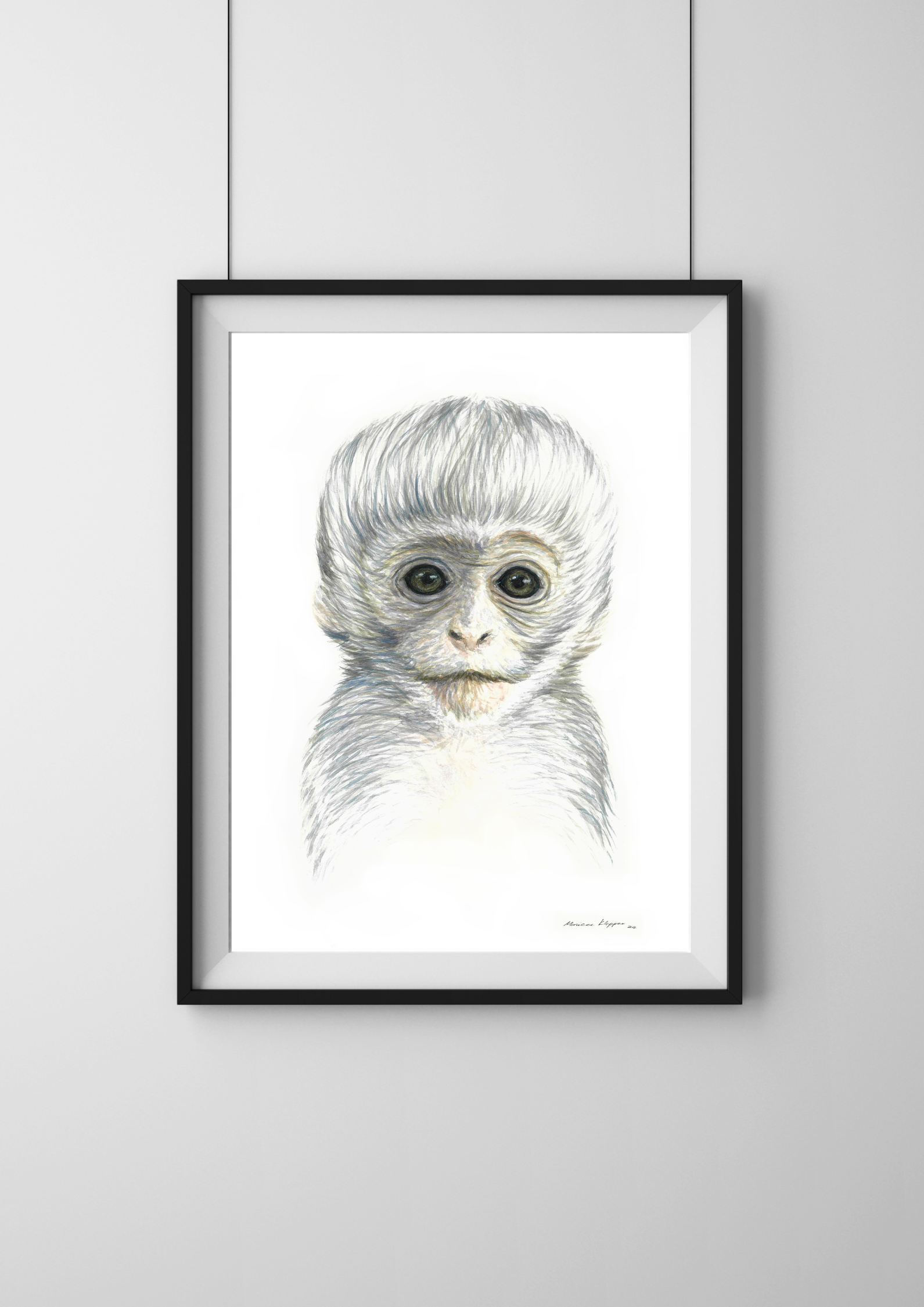 "Baby Vervet Monkey" Print - Image 2