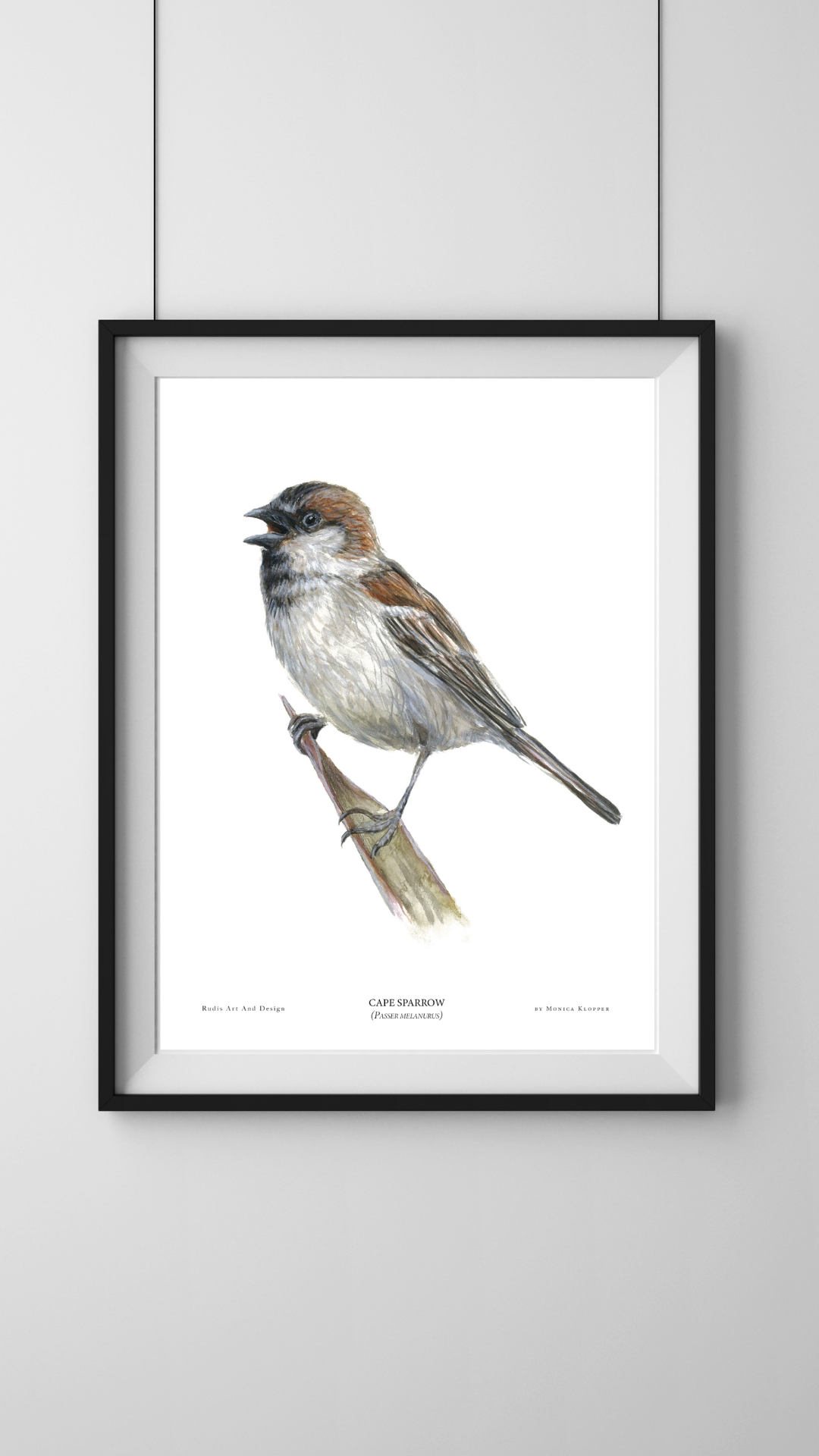 "Cape Sparrow VI" Print A4 - Image 2