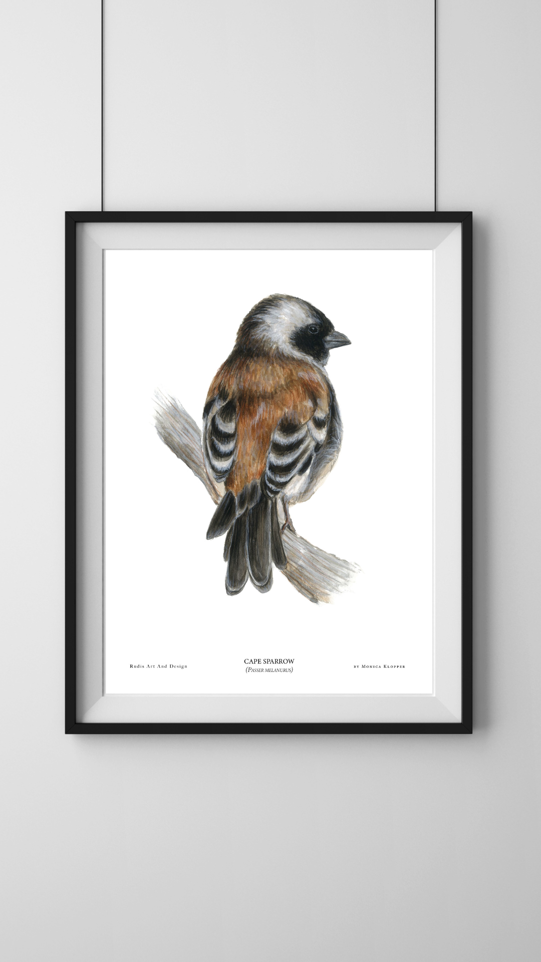 "Cape Sparrow V" Print A4 - Image 2