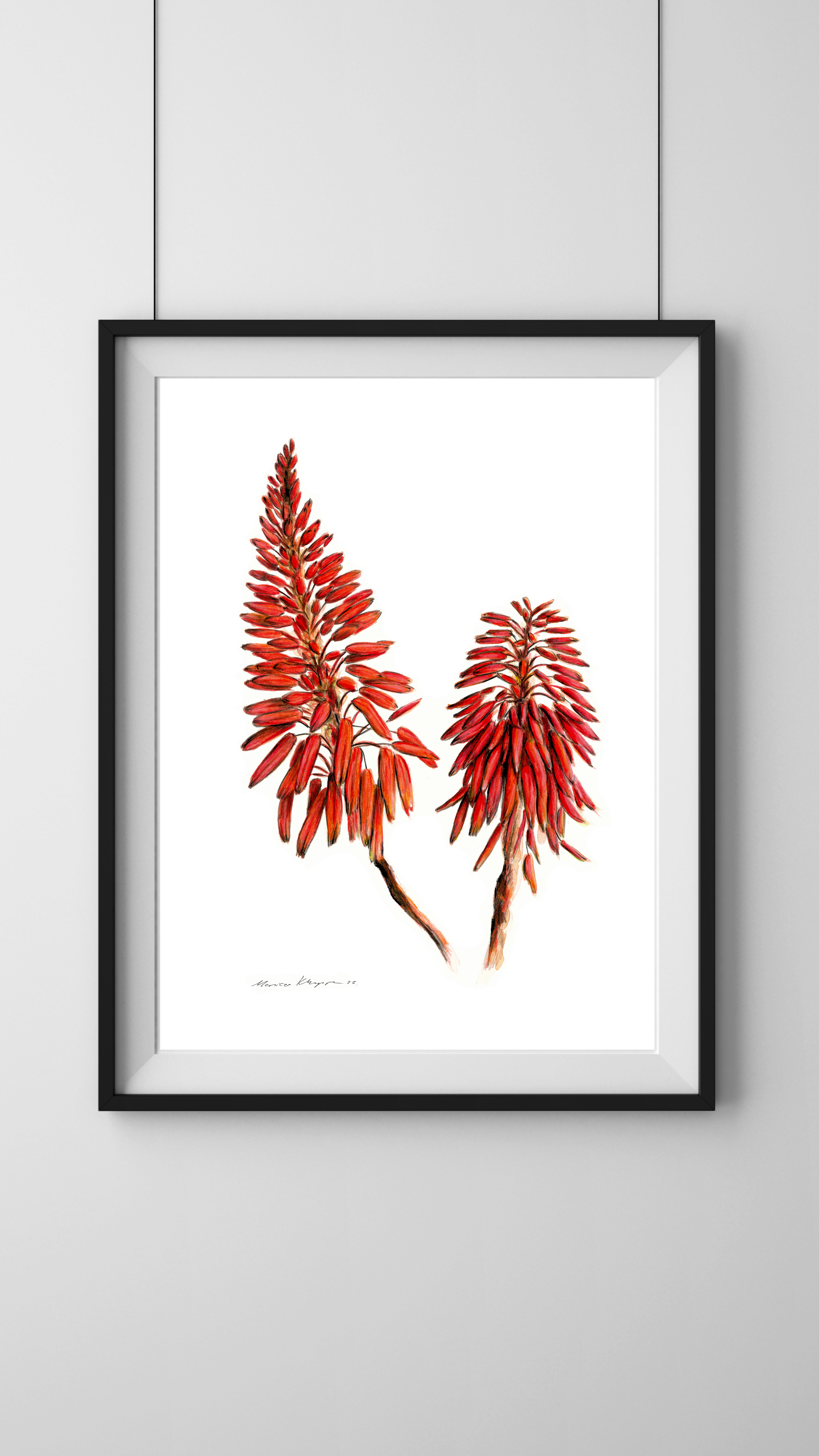 "Red Aloe Vera Flower" Print - Image 2