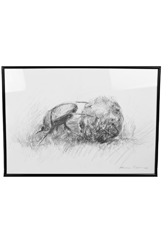 “Rolling Life” Pencil Drawing