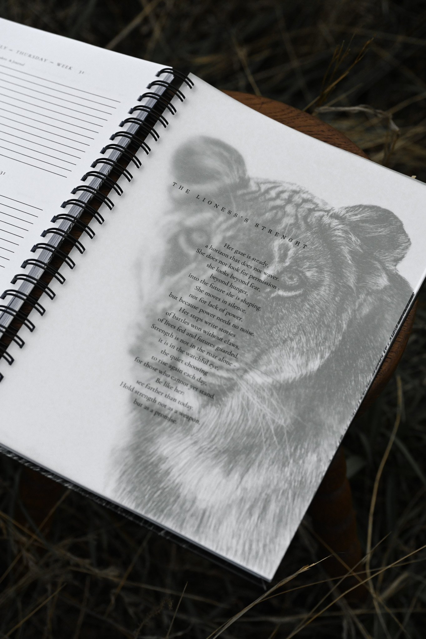 2026 Lion Themed Diary - Image 17