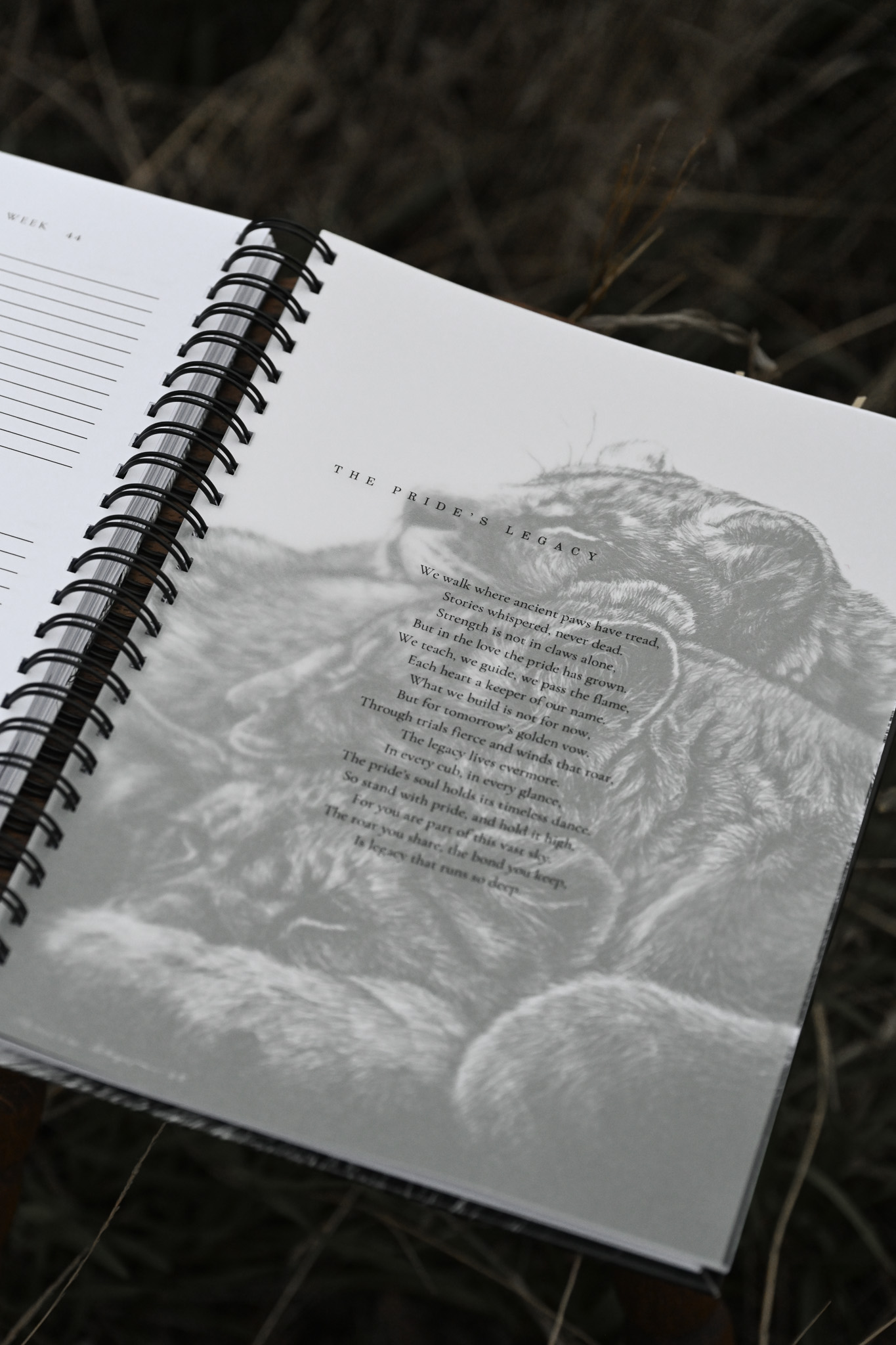 2026 Lion Themed Diary - Image 19