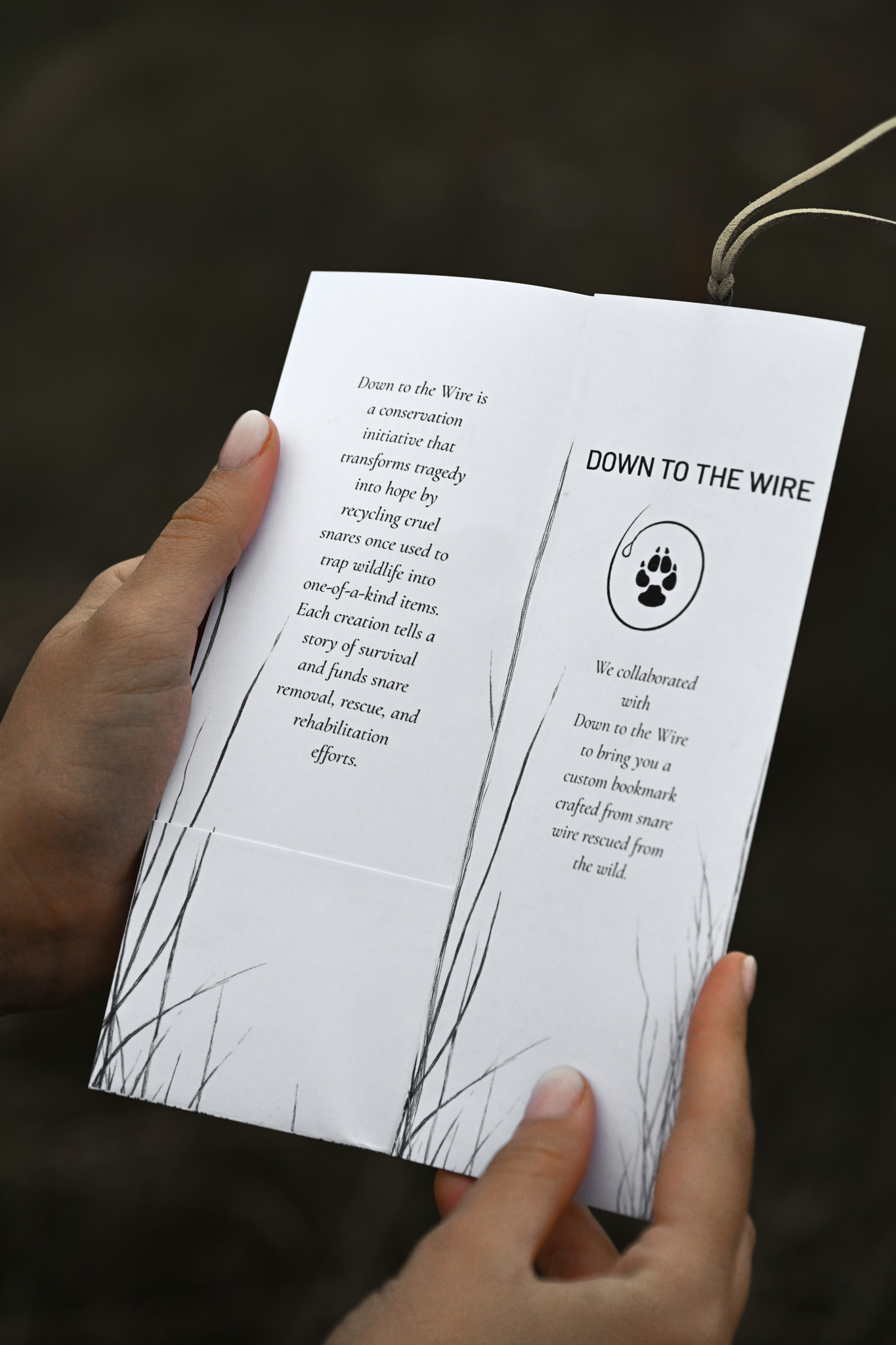 2026 Lion Themed Diary - Image 21