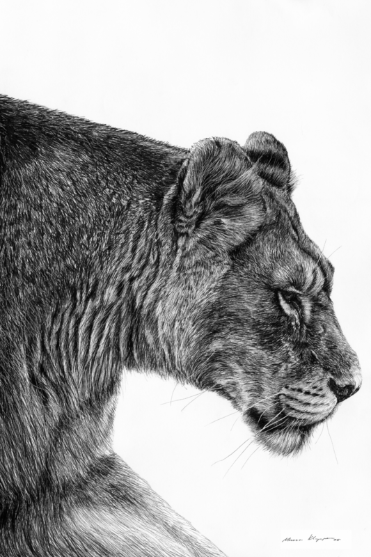 “The Quiet Journey” – Fine Art Print