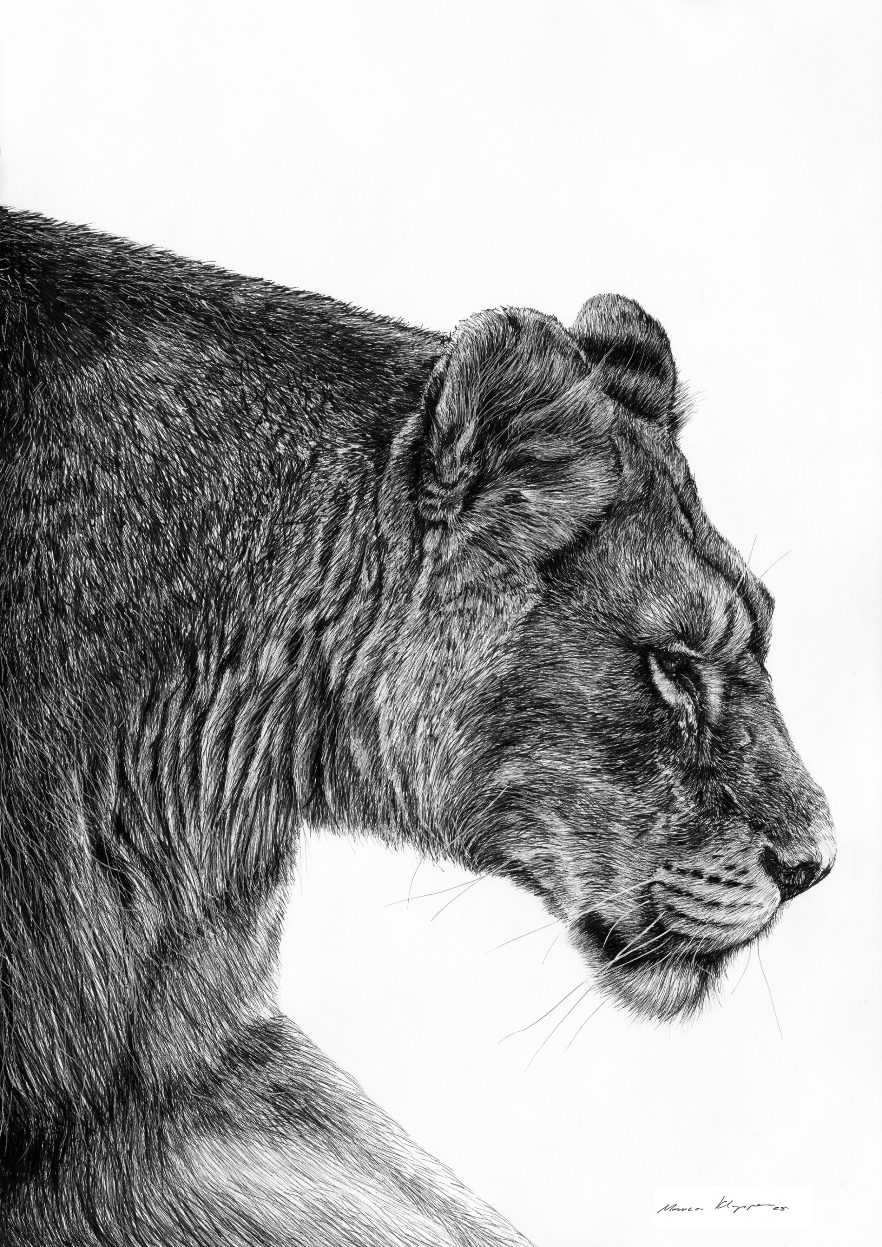"The Quiet Journey" – Fine Art Print