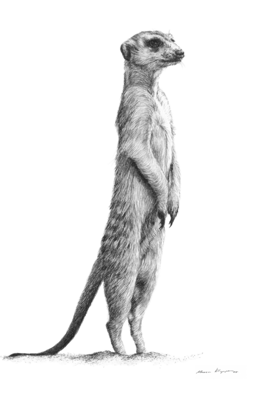 “On Guard” – Fine Art Print