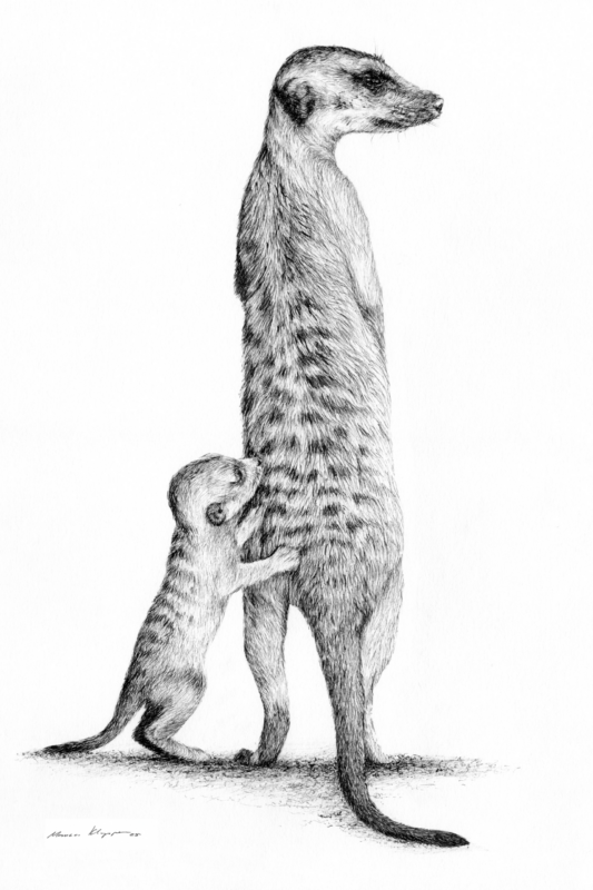 “Under Watch” – Fine Art Print