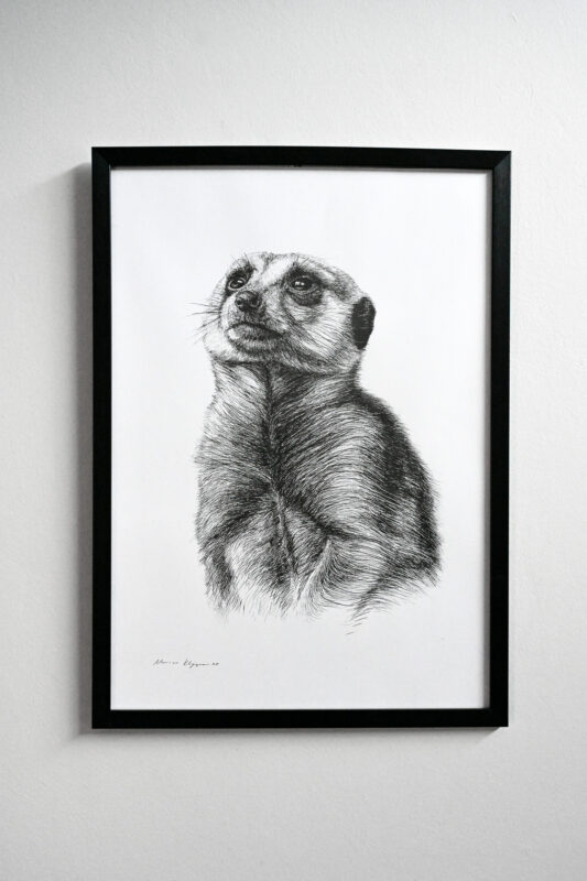 “Eyes to the Horizon” Pen Drawing