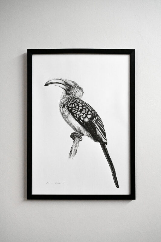 “Beak of Boldness” Pen Drawing