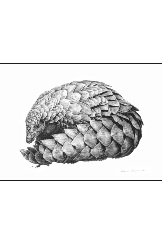 “Protected by Design” – Fine Art Print