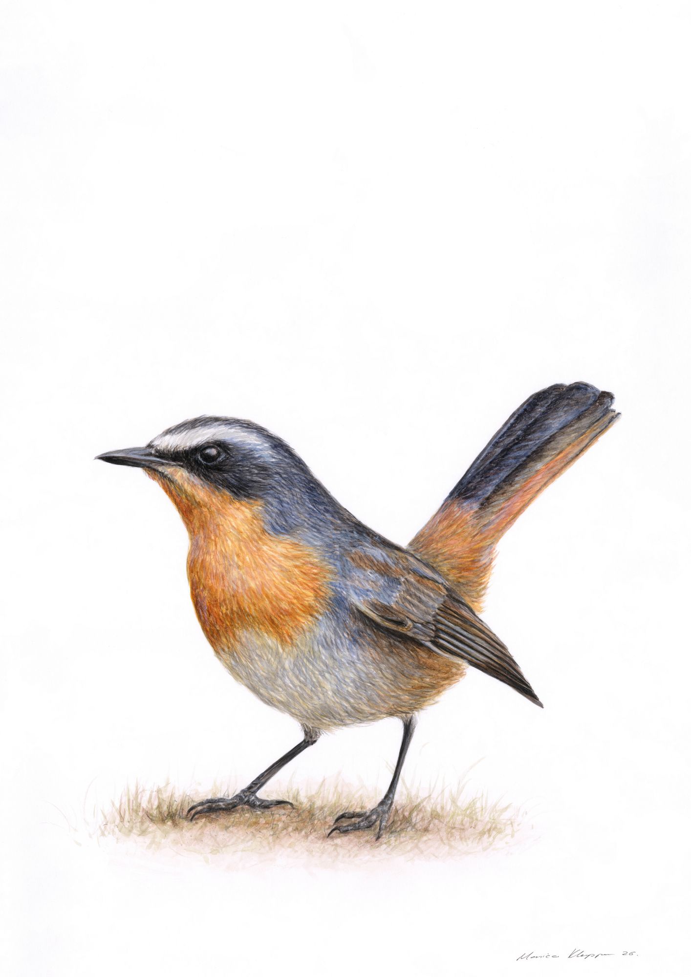 "The First Song of Morning" – Fine Art Print